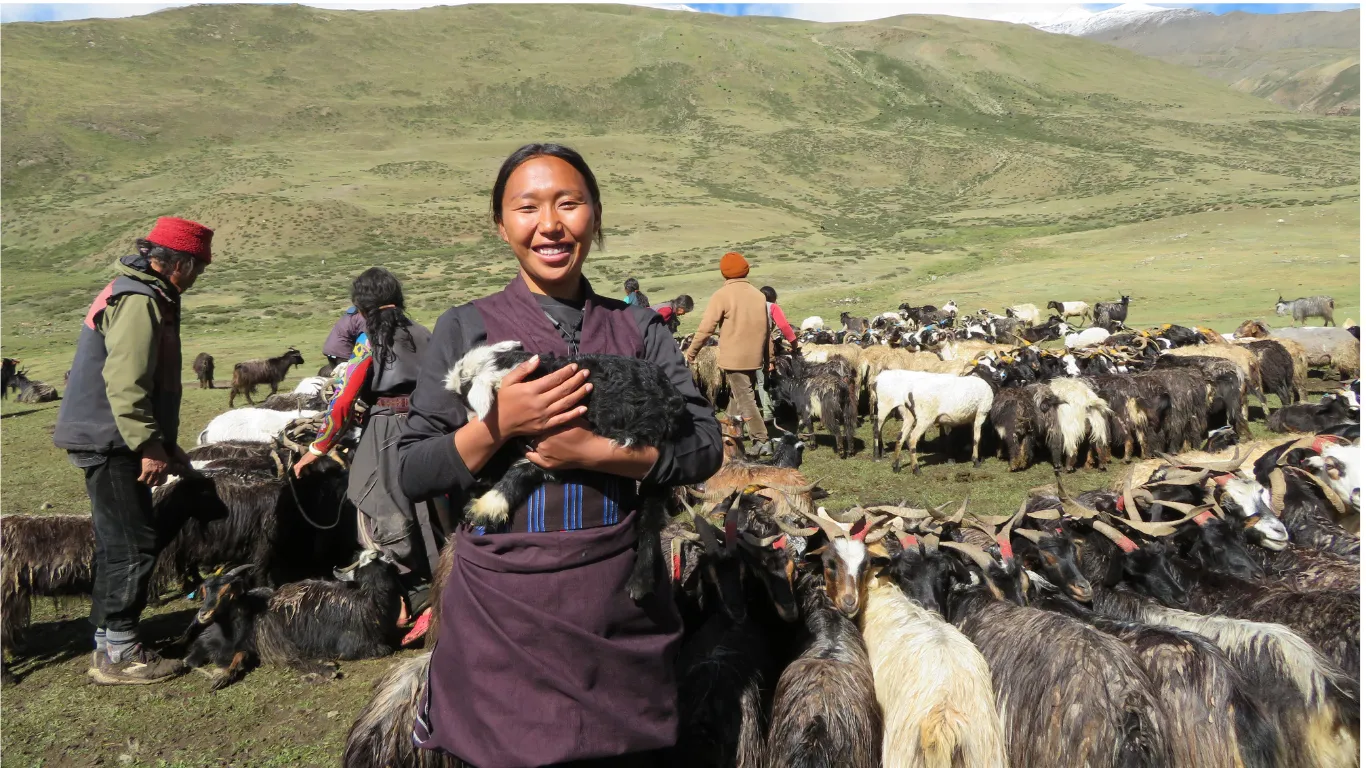 Shey Dolpo — The Project — photo 5