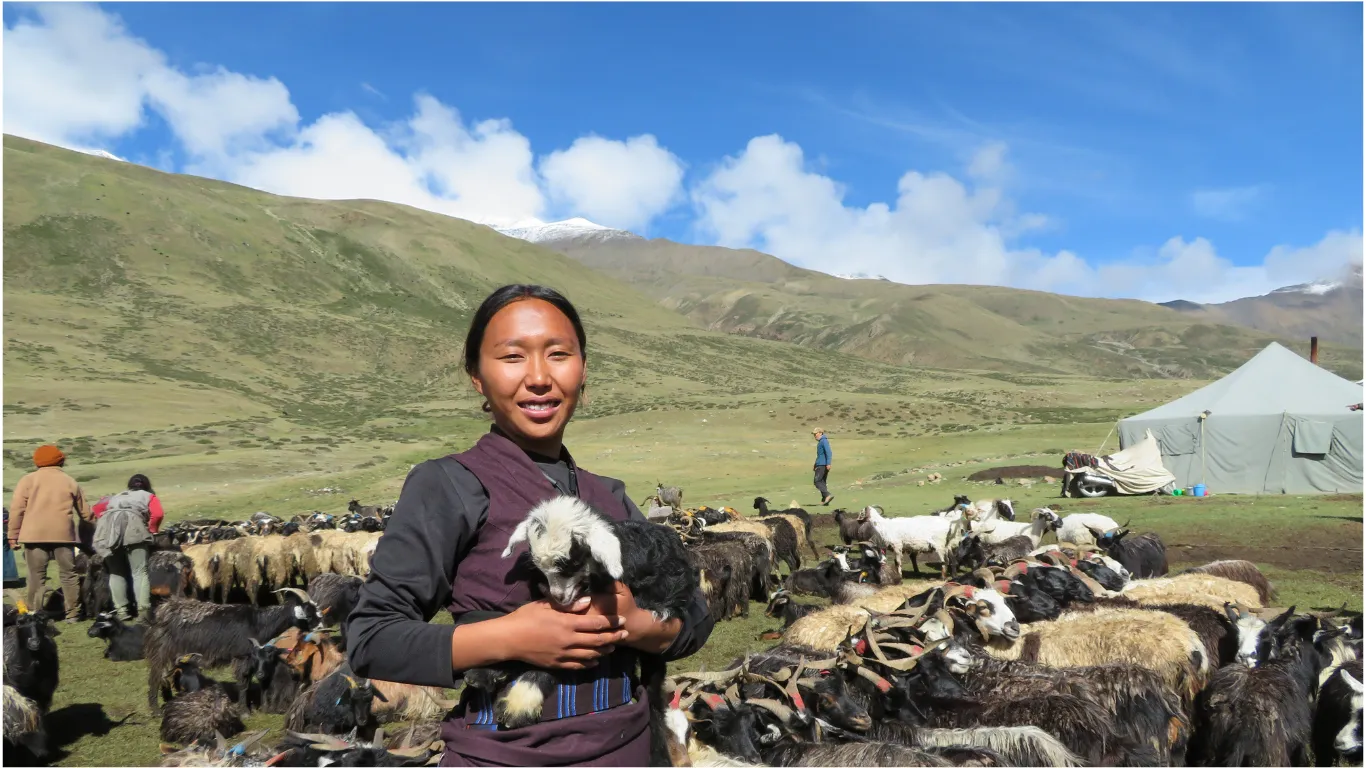 Shey Dolpo — The Project — photo 11