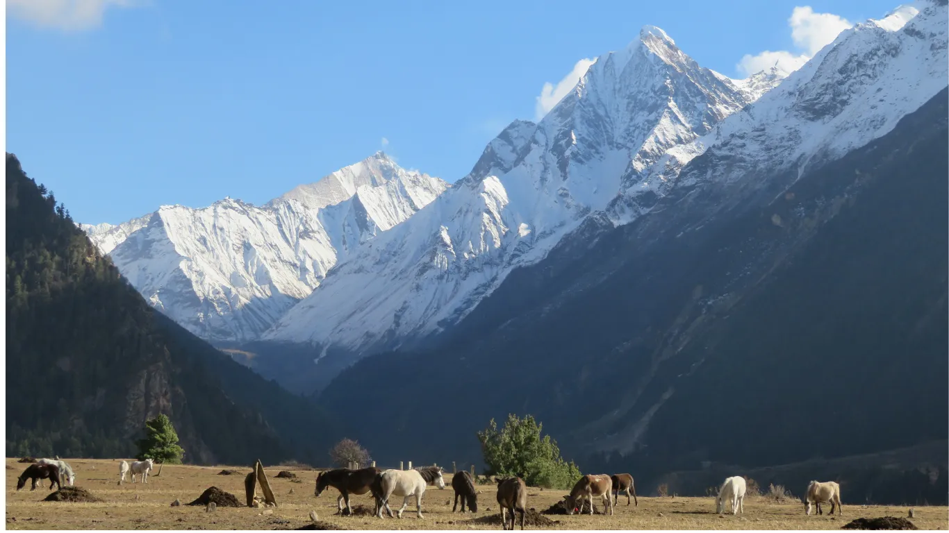 Kanchenjunga with Dormo Ri — photo 6