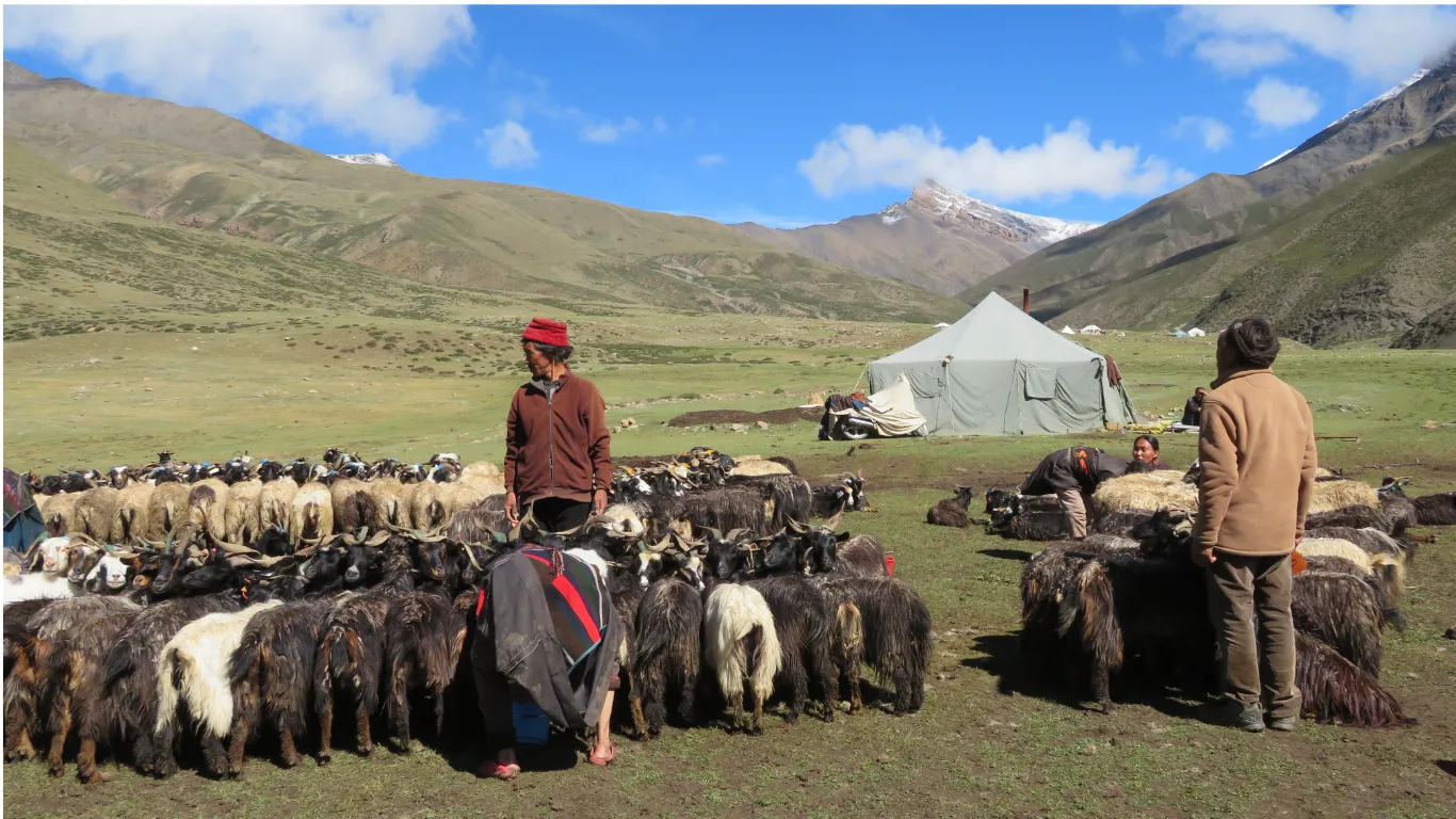 Shey Dolpo — The Project — photo 12